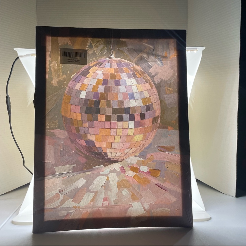 Colorful Disco Ball Canvas Art Print Painting 14.74”x11.5” NWT Home Decor Fun